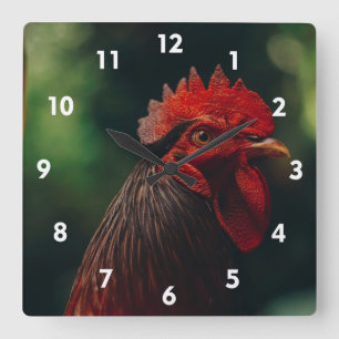 Sehr Coole Rooster-Uhr Quadratische Wanduhr