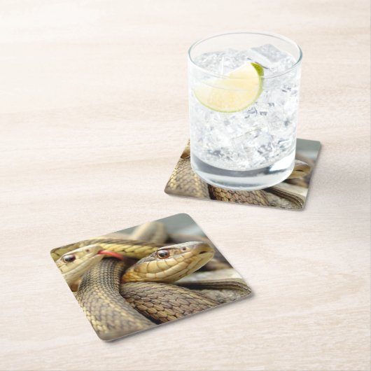 Sehr Coole Schlangen Untersetzer Set (Vor Ort)