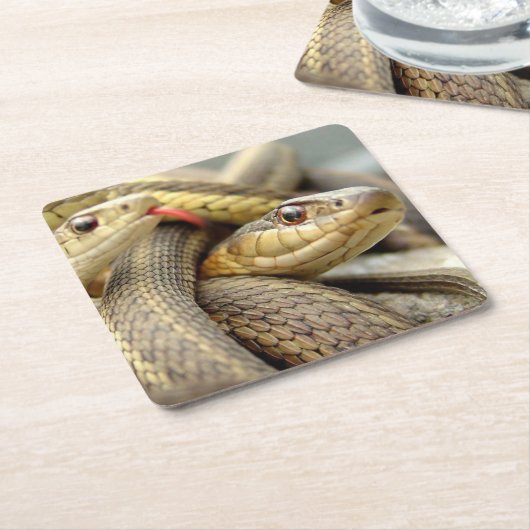 Sehr Coole Schlangen Untersetzer Set (angewinkelt)