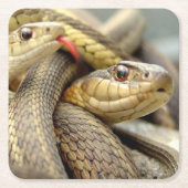 Sehr Coole Schlangen Untersetzer Set (Vorderseite)