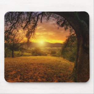 Sehr Cooler Baum in der Natur bei Morgengrauen Mousepad