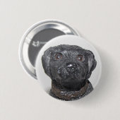 Sehr Cooles Schwarzes Lab Button (Vorne & Hinten)