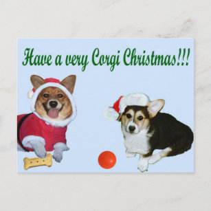 Sehr Corgi-Weihnachten M u. G-Blau-Postkarte Feiertagspostkarte