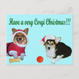 Sehr Corgi-Weihnachten M u. G-Türkis-Postkarte Feiertagspostkarte