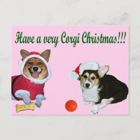 Sehr Corgi-Weihnachten M u. rosa Postkarte G (Vorderseite)