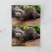 Sehr erfreulicher kleiner grauer Otter, glückliche Karte (Innenseite)