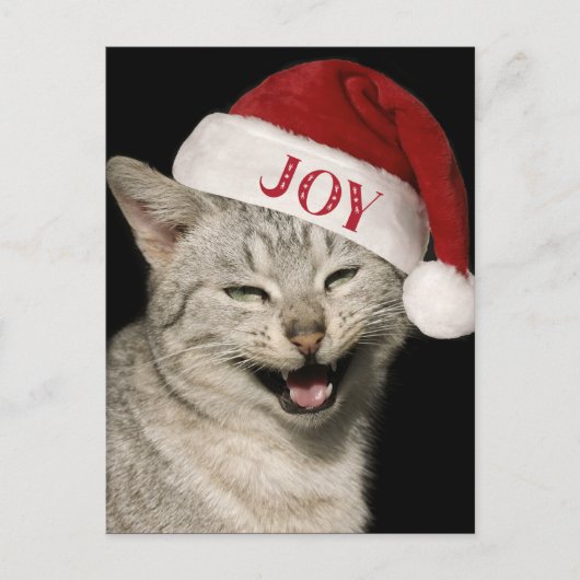 Sehr Funny Santa Cat Laugh Foto Weihnachten (Vorderseite)