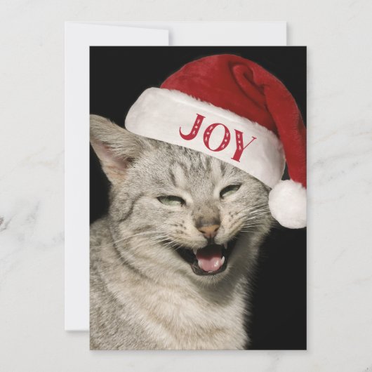 Sehr Funny Santa Cat Laugh Foto Weihnachten (Vorderseite)