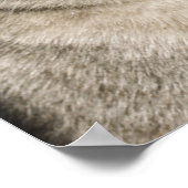 Sehr Funny Santa Cat Laugh Foto Weihnachten Poster (Ecke)