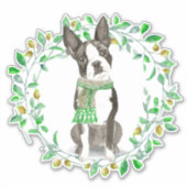 Sehr geehrte kleine Boston Terrier mit Scarf Aufkleber (Vorderseite)