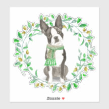 Sehr geehrte kleine Boston Terrier mit Scarf