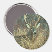 Sehr geehrter Hahn / Hahnenschwanz Magnet (Vorderseite/Rückseite)