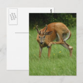 Sehr geehrter Itch Postkarte (Vorne/Hinten)