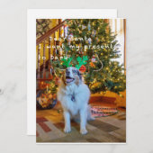 Sehr geehrter Santa Feiertagskarte (Vorne/Hinten)