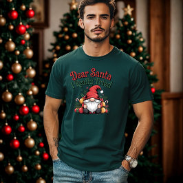 Sehr geehrter Weihnachtsmann I wirklich versucht F T-Shirt