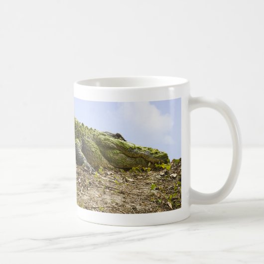 Sehr große Alligatornatur-Fotografie Kaffeetasse (Rechts)