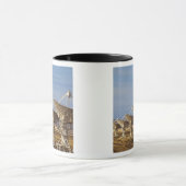 Sehr großes Array alias National Radio Astronomie Tasse (Zentrum)