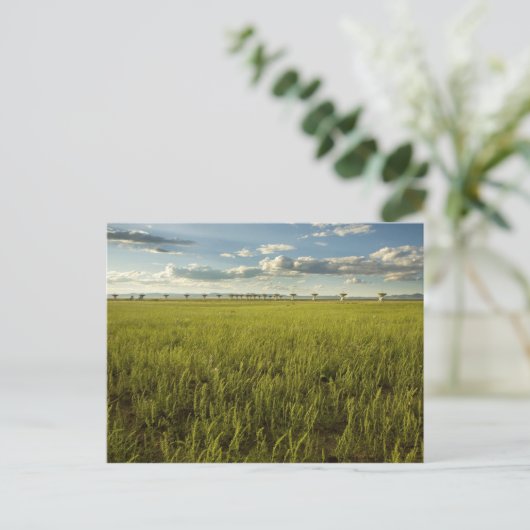 Sehr großes Array Postkarte (Stehend Vorderseite)