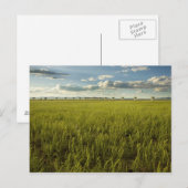 Sehr großes Array Postkarte (Vorne/Hinten)