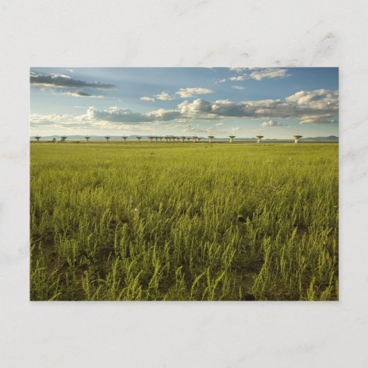 Sehr großes Array Postkarte (Vorderseite)