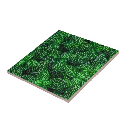 Sehr grünes Leaf-Muster Fliese (Seite)