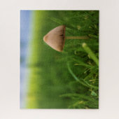 Sehr herausforderndes Puzzle im Pilz (Vertikal)