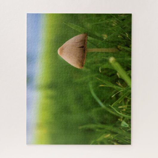 Sehr herausforderndes Puzzle im Pilz (Vertikal)