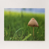 Sehr herausforderndes Puzzle im Pilz (Horizontal)