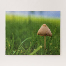 Sehr herausforderndes Puzzle im Pilz