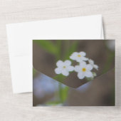 Sehr Hübsches Party All In One Einladung (Rückseite)