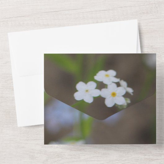 Sehr Hübsches Party All In One Einladung (Rückseite)