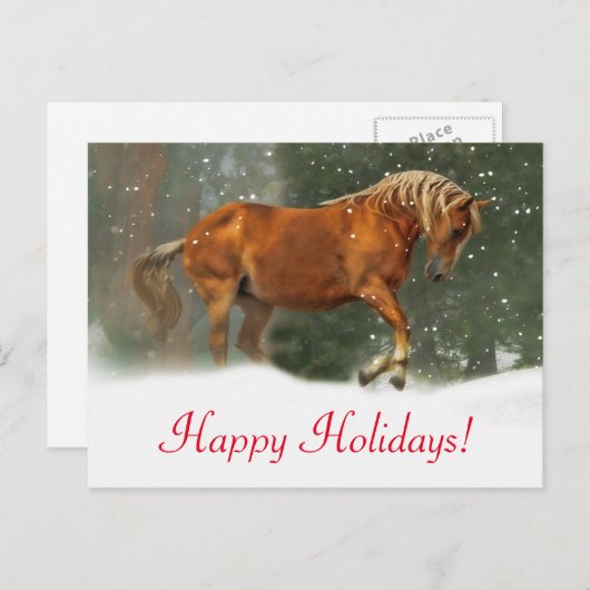 Sehr Hübsches Pferd im Schnee - Urlaub Postkarte (Vorne/Hinten)