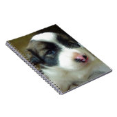 Sehr junge Welpe Niedlich aussehen Notizblock (Rechte Seite)