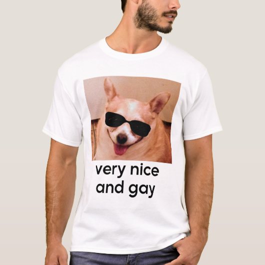 Sehr nette und homosexuelle Hundebrille Meme T-Shirt (Vorderseite)