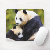 Sehr Niedliche Panda Mouse Mat Mousepad (Mit Mouse)
