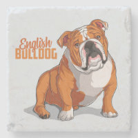 Sehr Niedliche und farbenfrohe englische Bulldog-S