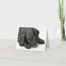 Sehr Niedliche Welpe Karte