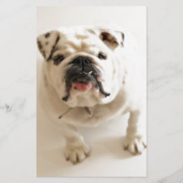 Sehr Niedlicher Bulldog Briefpapier