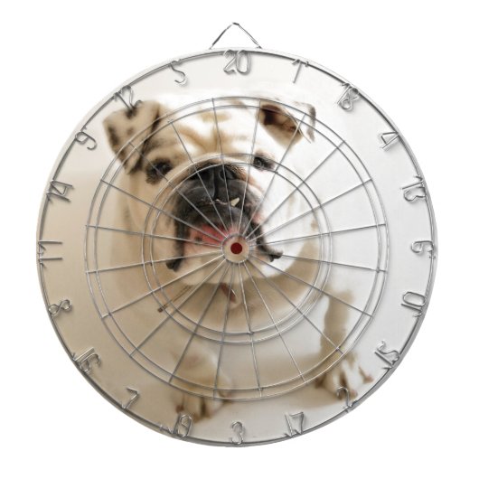 Sehr Niedlicher Bulldog Dartscheibe (vorne)