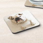 Sehr Niedlicher Bulldog Getränkeuntersetzer (Linke Seite)