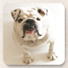 Sehr Niedlicher Bulldog Getränkeuntersetzer