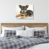 Sehr Niedlicher Welpe mit liebenden Augen Leinwanddruck (Insitu (Schlafzimmer))