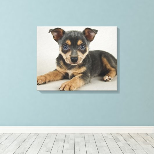 Sehr Niedlicher Welpe mit liebenden Augen Leinwanddruck (Insitu (Holzboden))