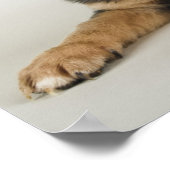 Sehr Niedlicher Welpe mit liebenden Augen Poster (Ecke)