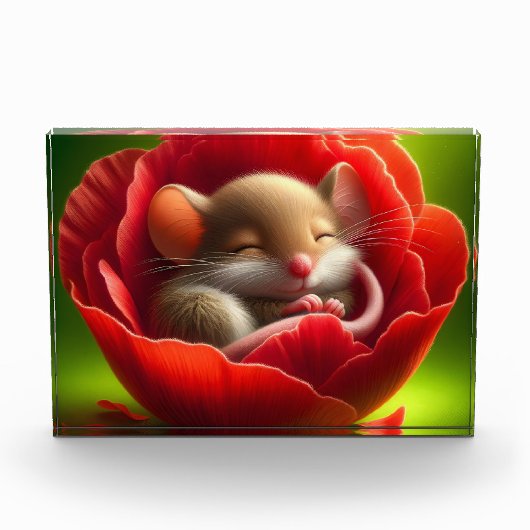 Sehr Niedliches Schlafen von Babymäuse Fotoblock (Vorderseite)