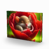 Sehr Niedliches Schlafen von Babymäuse Fotoblock (Rechts)