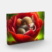 Sehr Niedliches Schlafen von Babymäuse Fotoblock (Links)