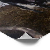 SEHR NIEDLICHES ZIEGENBILD. POSTER (Ecke)