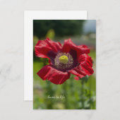 Sehr offenes rotes Mohn Mitteilungskarte (Vorne/Hinten)