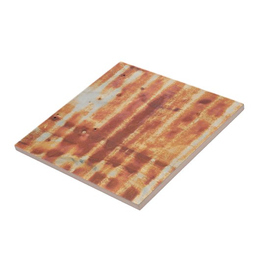 Sehr robuste Metallaußenwand eines ländlichen Ausb Fliese (Seite)